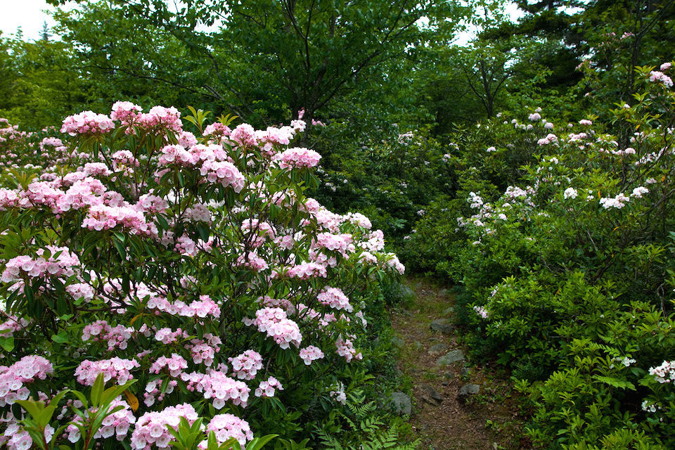 Mountain path